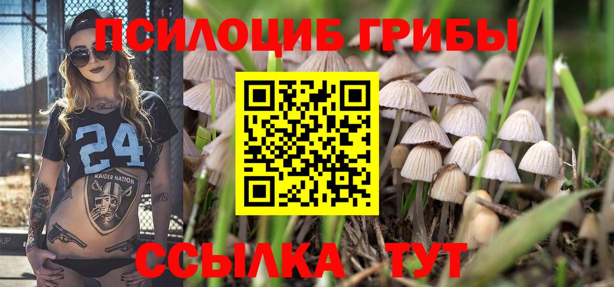 Галлюциногенные грибы MAGIC MUSHROOMS  Вход с VPN  Артём 