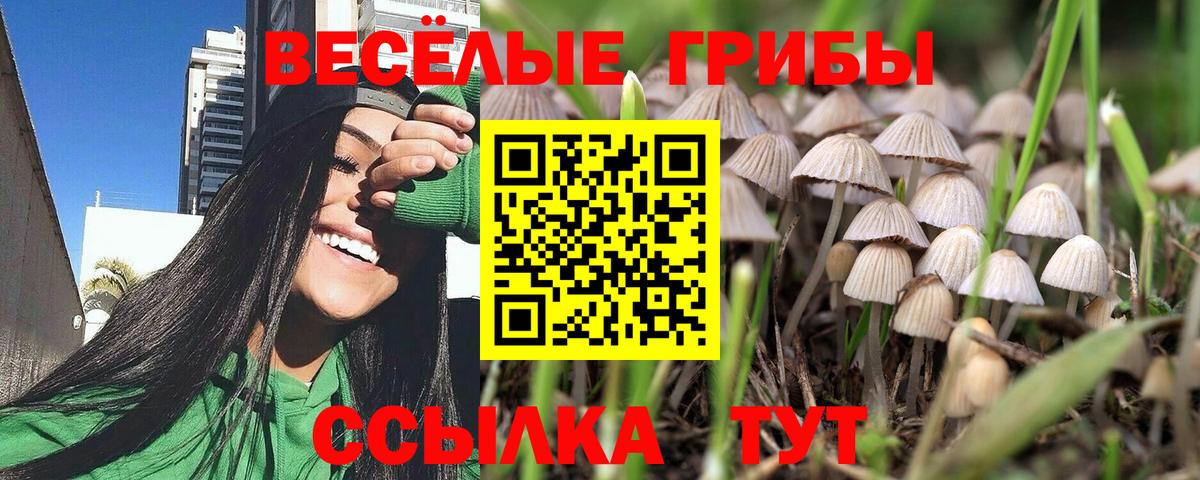 Галлюциногенные грибы Magic Shrooms Артём